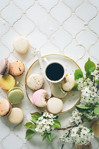 Coffee, Macaroons and Blooming White Branch on a White Table photo
