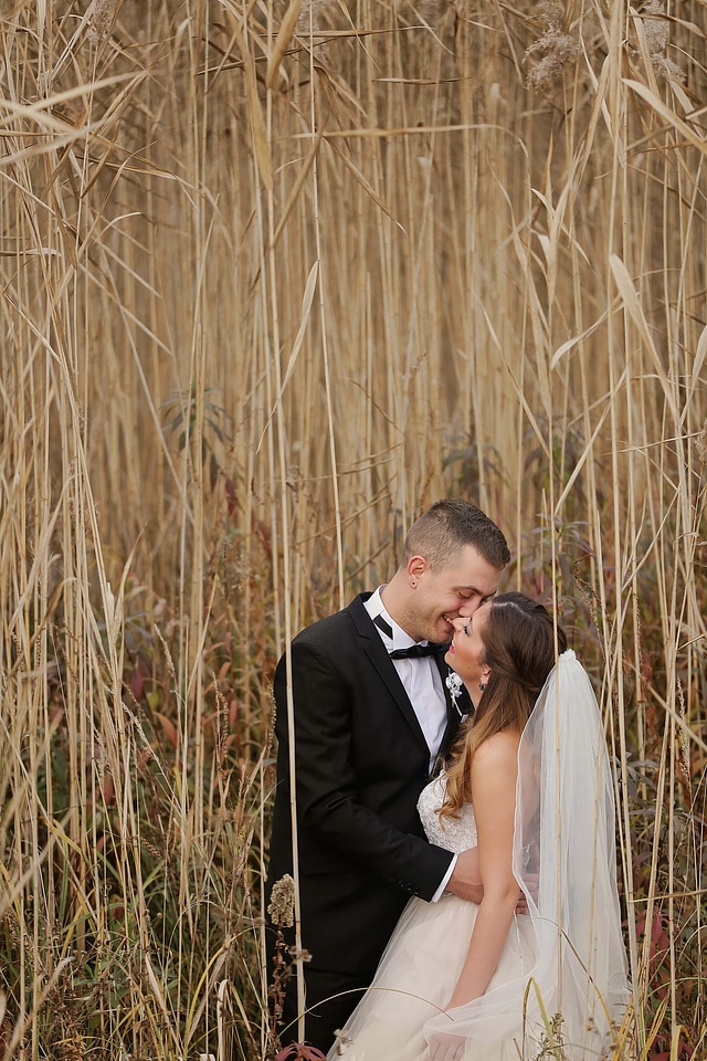 Professional wedding photography