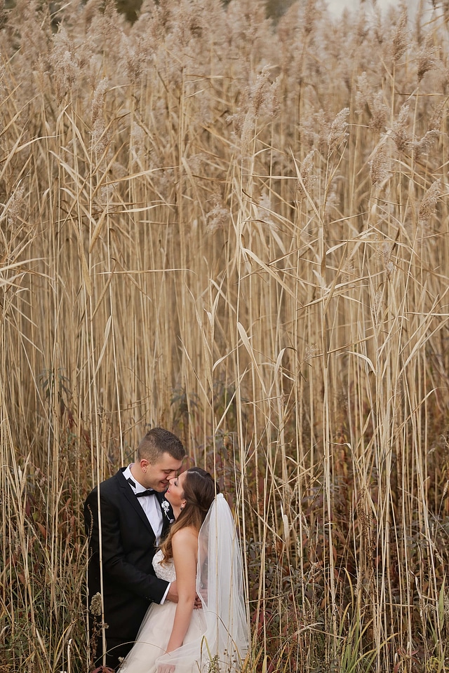 Wedding photography bride