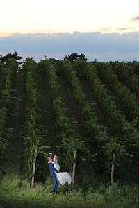 Vineyard hilltop bride