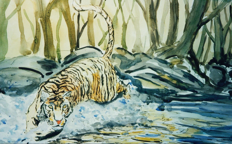 Cat watercolour painting
