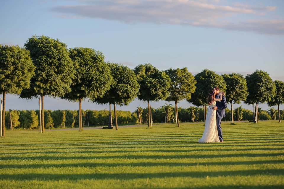 Green field garden