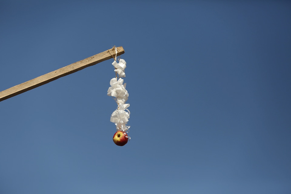 Apple stick hanging