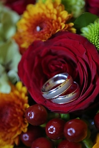 Platinum wedding ring macro