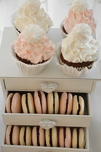 Cupcake cookie drawer photo