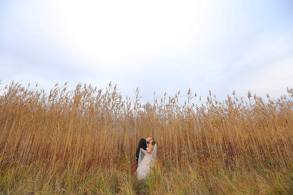 Countryside grass groom