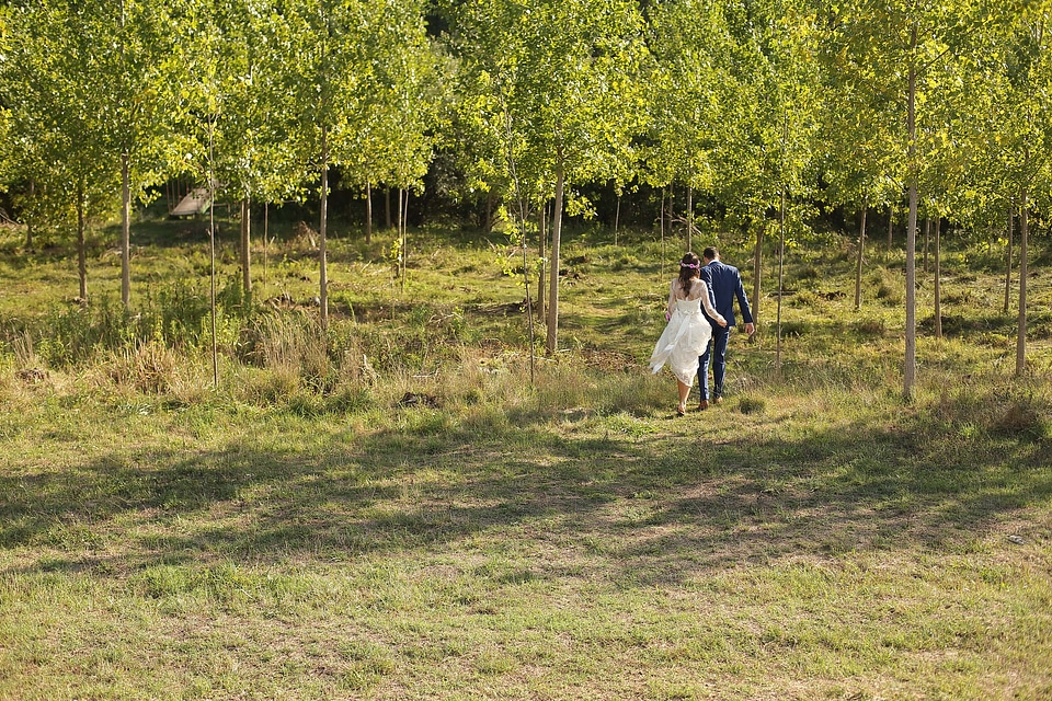 Groom bride forest photo