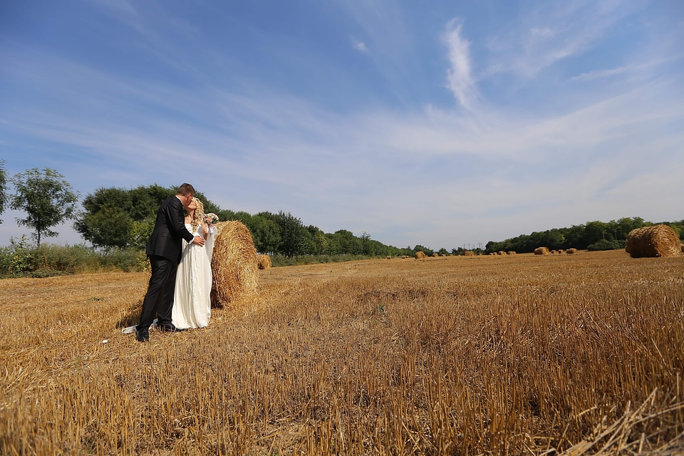 Groom wheatfield kiss