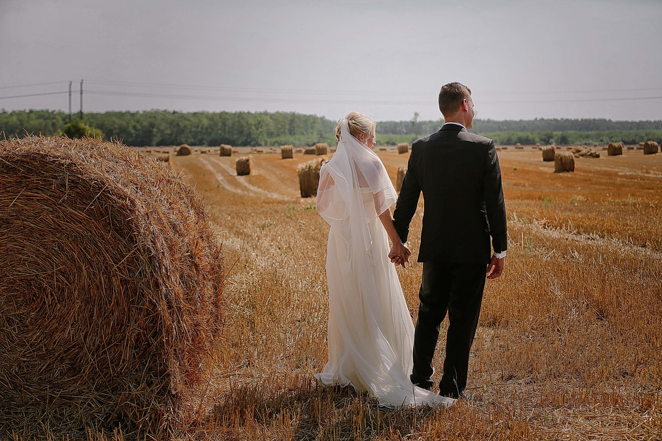Field agricultural hay field