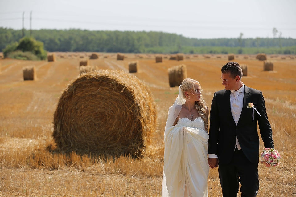 Groom bride wheatfield