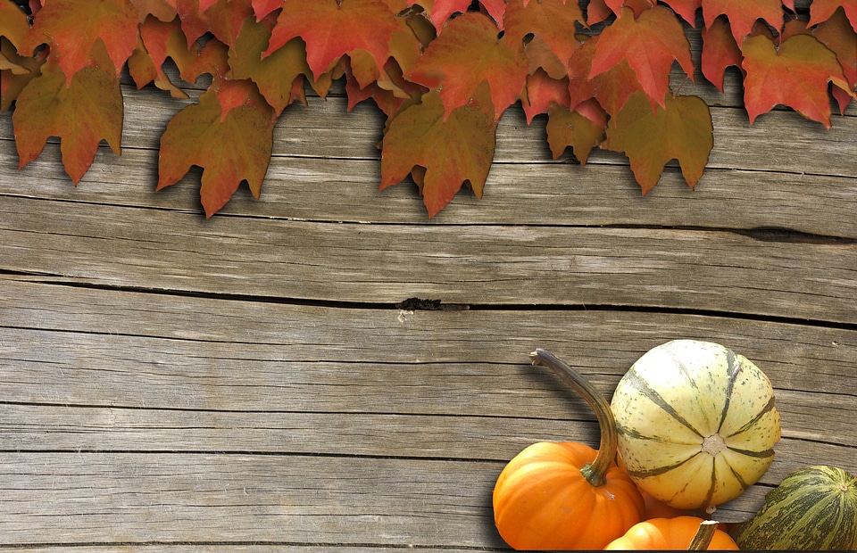 Decoration wood autumn decoration