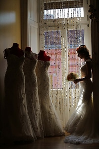Wedding Dress salon shopper