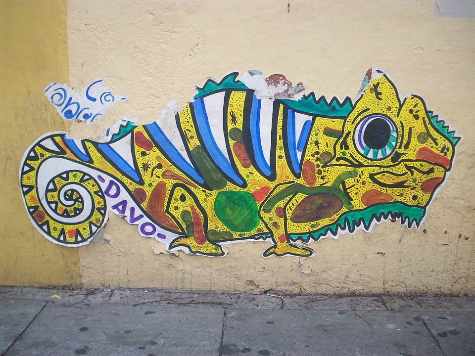 Design lizard animal
