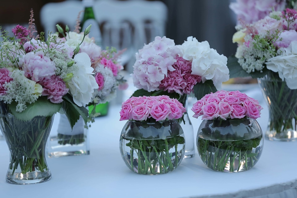 Still Life vase roses photo