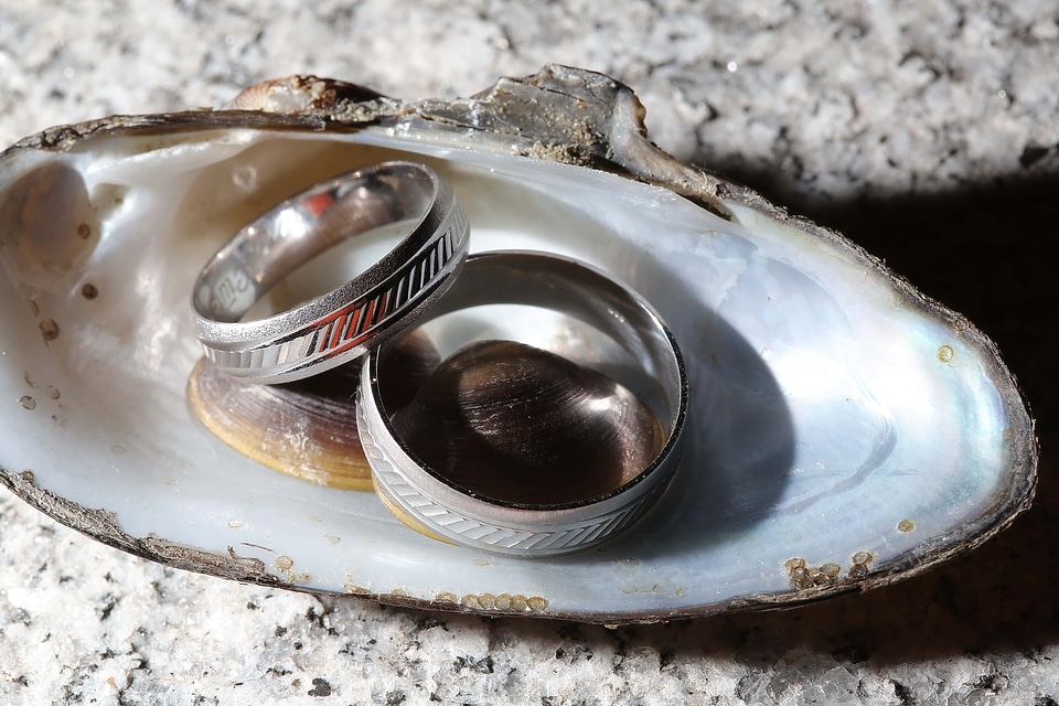 Platinum wedding ring mussel
