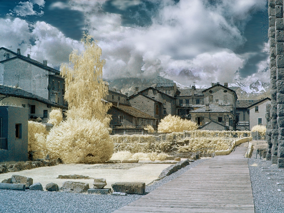 Aosta mountain vegetation