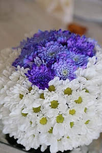 Purple bouquet flowers