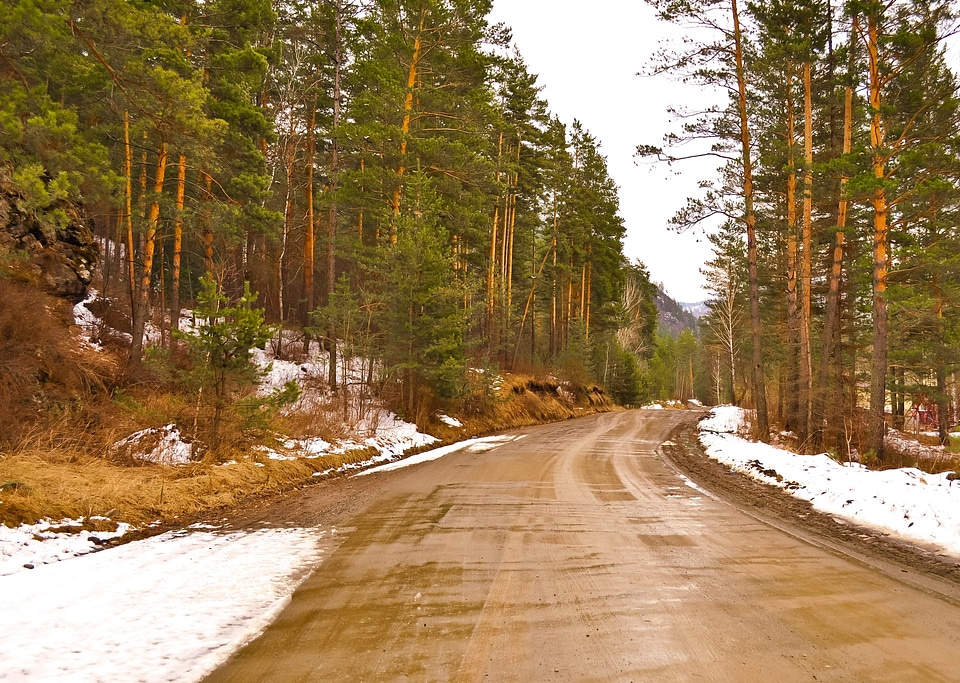 Woods winter season