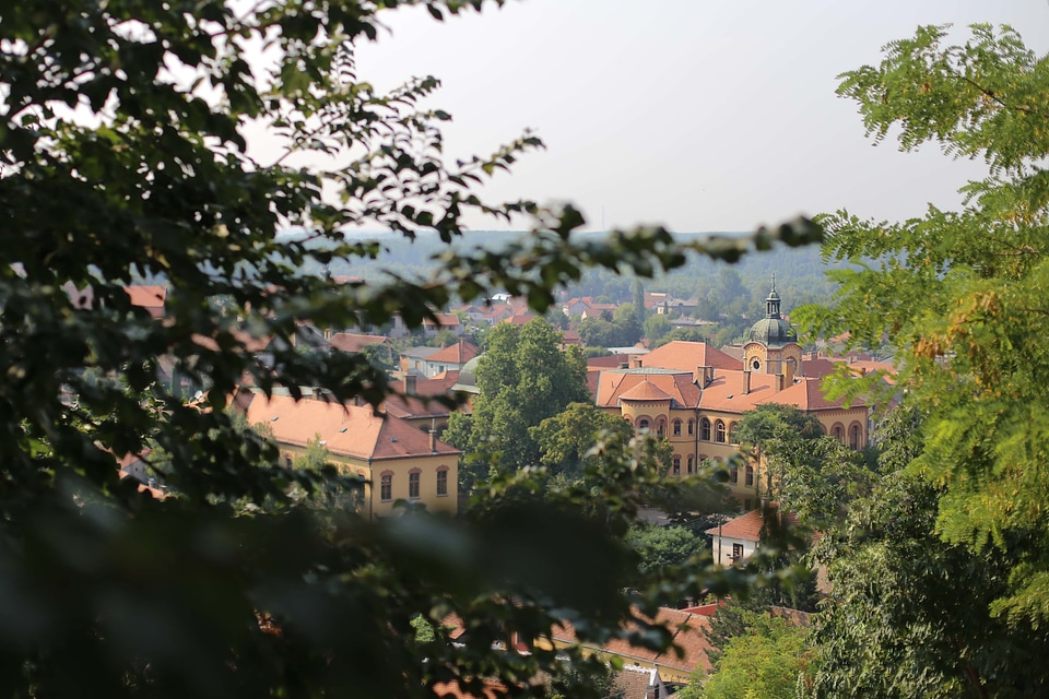 Downtown panorama town