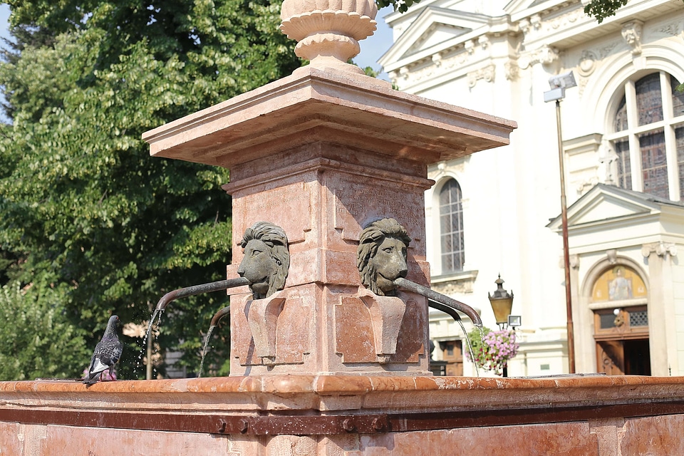 Pigeon marble fountain