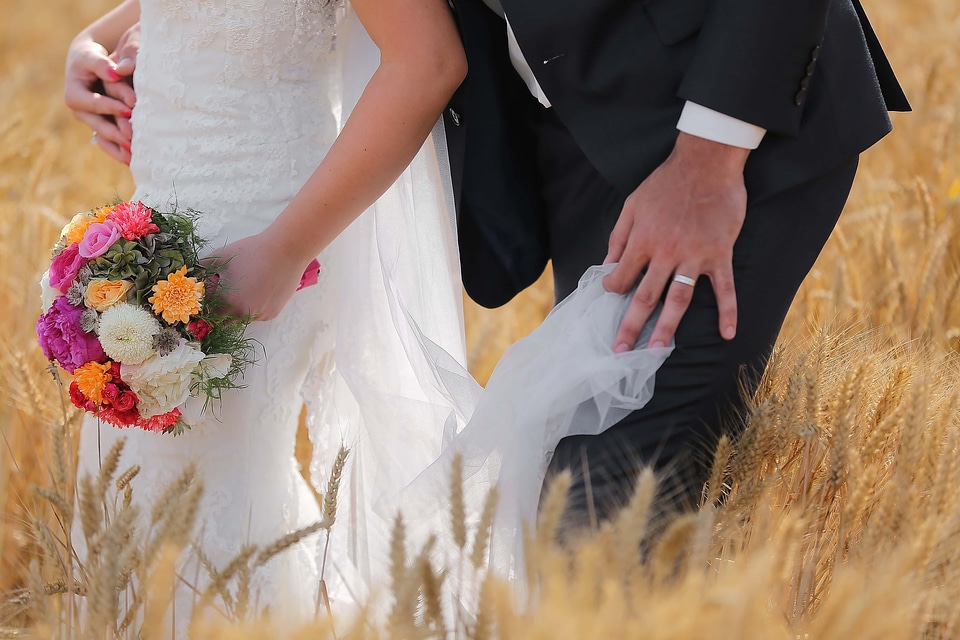 Barley field wedding dress