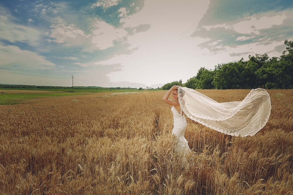 Wheatfield bride wedding dress