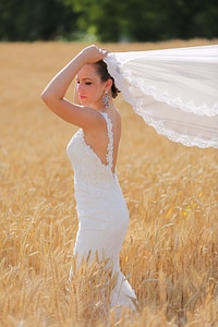 Wedding agriculture wedding dress photo