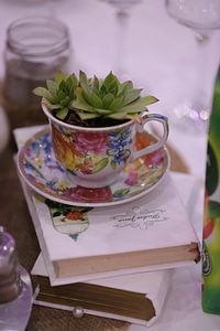 Flowerpot coffee cup cactus