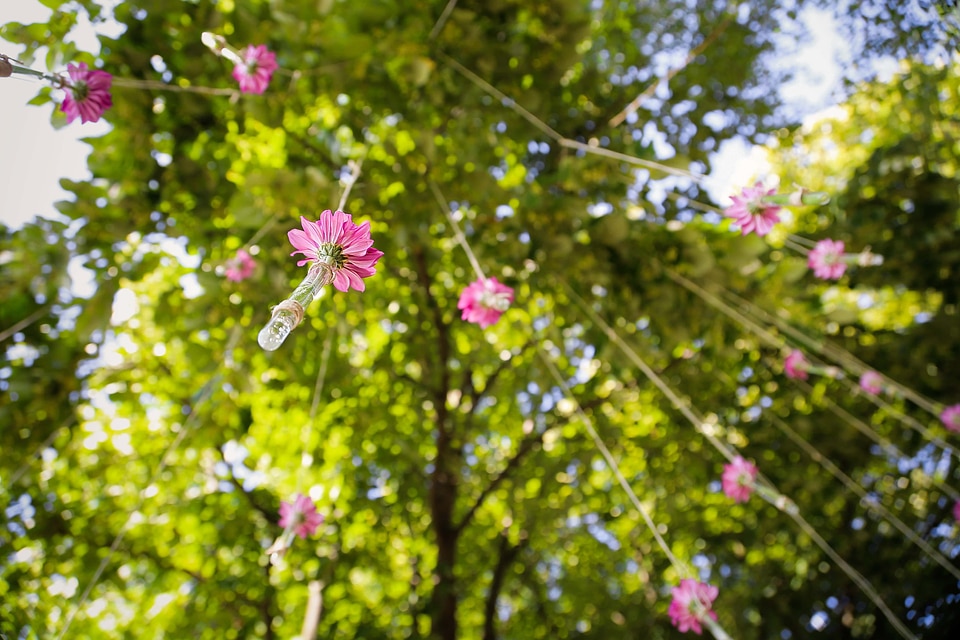 Hanging flowers rope