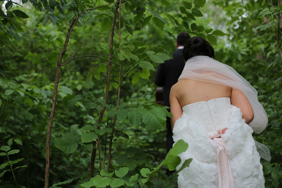 Bride forest forest trail