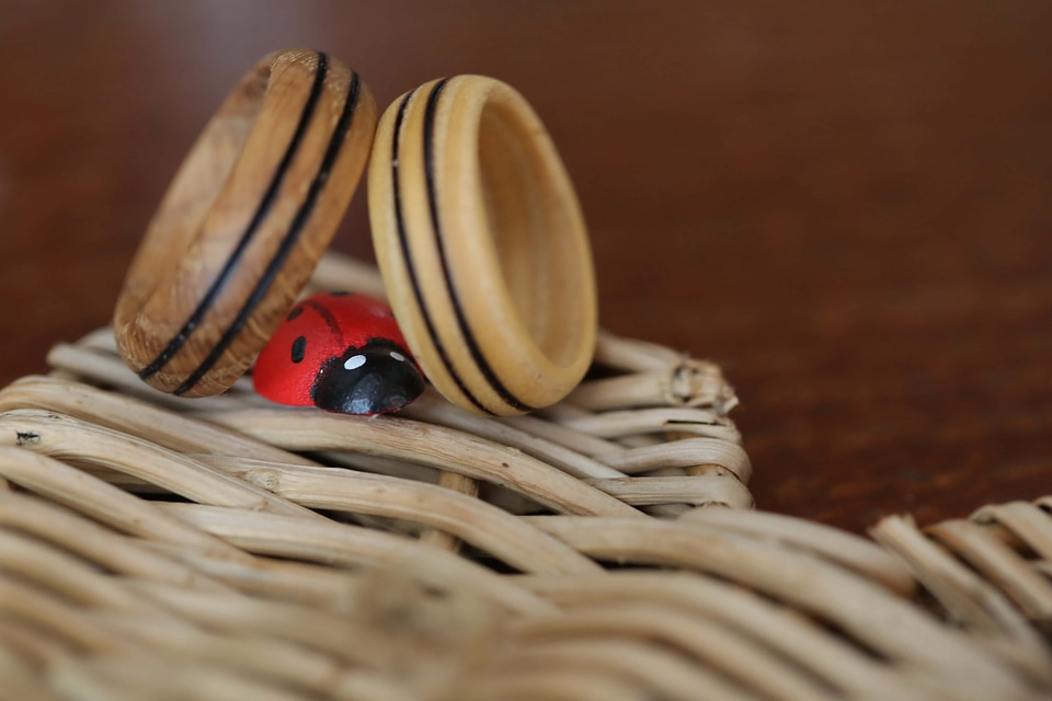 Ladybug wicker basket wedding ring