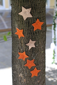 Decorative trees bark