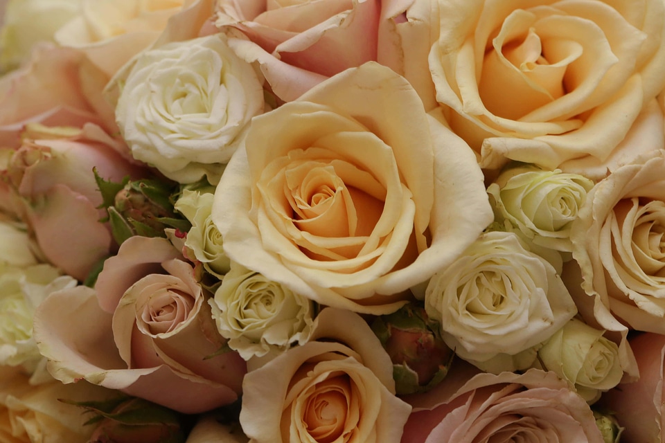 Bouquet white flower roses