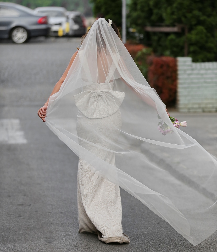 Bride veil happiness