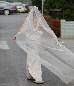 Bride veil happiness