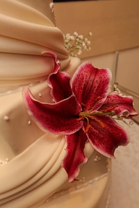 Flowers lily wedding cake photo