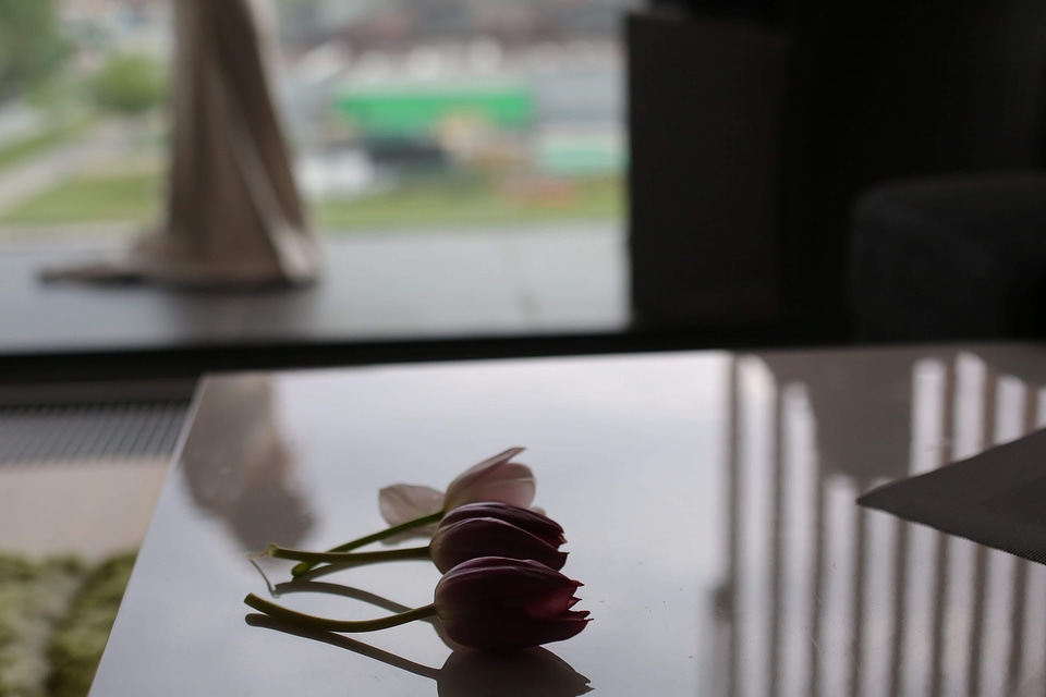 Tulips three interior decoration