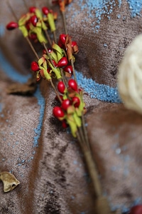 Decoration textile berries