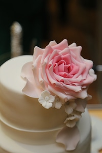 Wedding Cake wedding elegance photo