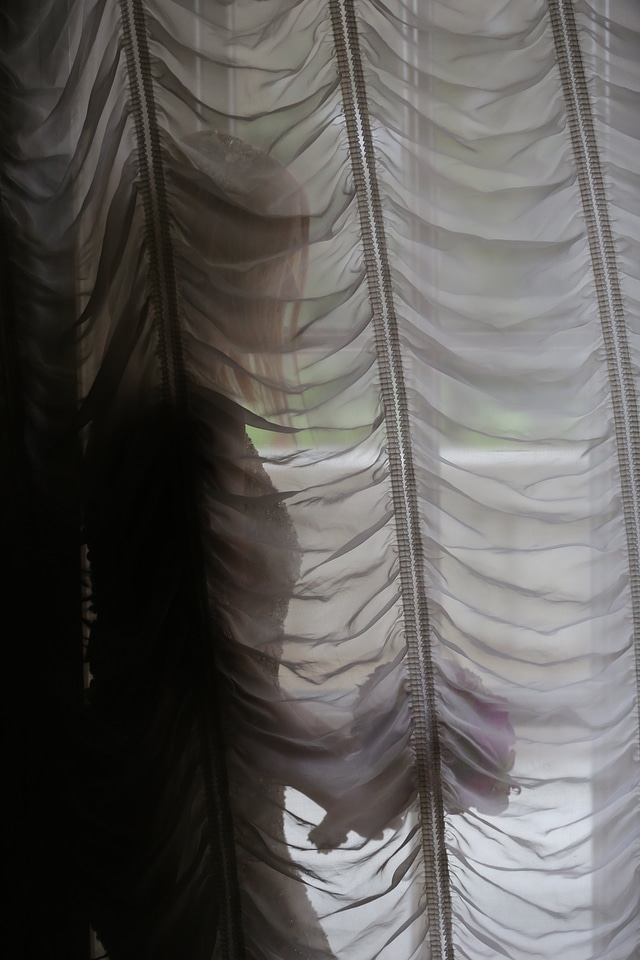 Bride curtain alone