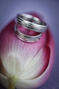 Wedding Ring platinum rings photo