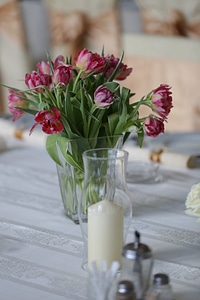 Vase tulips candles photo