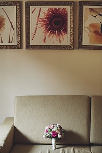 Living Room sofa picture