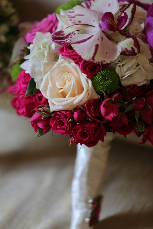 Roses orchid pinkish