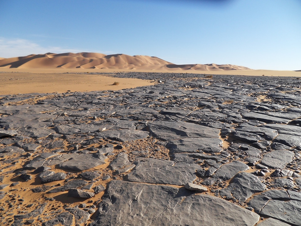 Reprint dunes dry photo