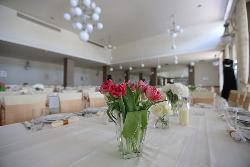 Carnation flowers lunchroom