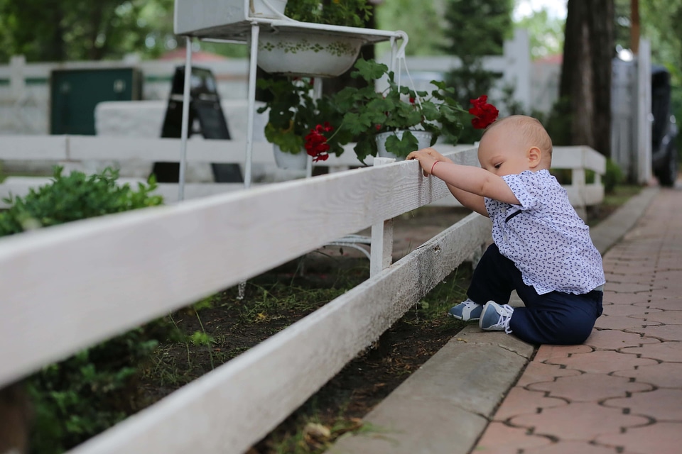 Toddler baby picket fence
