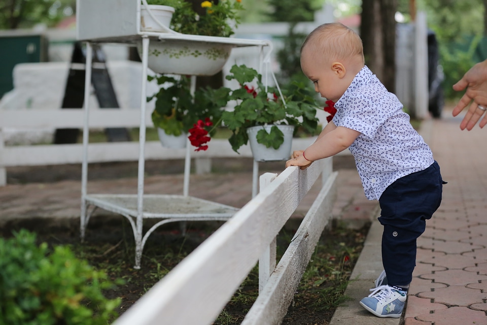 Baby toddler first