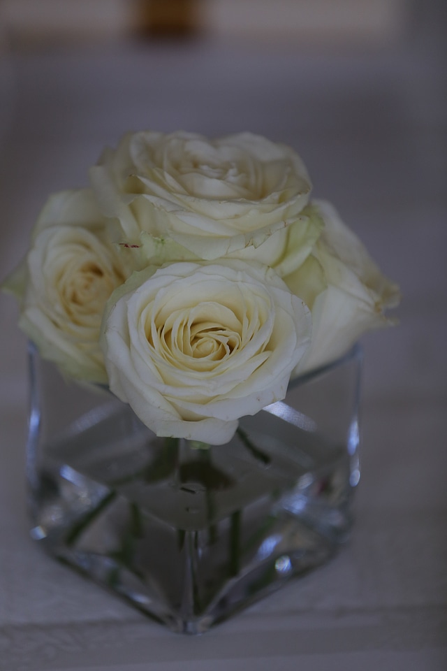 White Flower roses vase photo