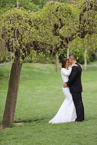 Groom bride tree photo